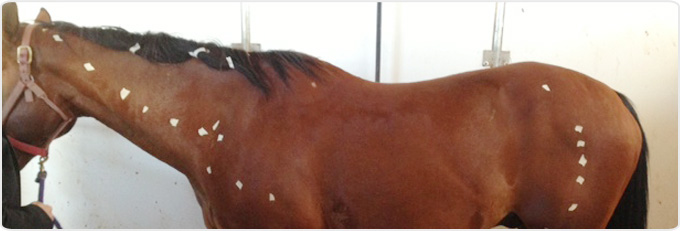 Acuscope Certification Banner