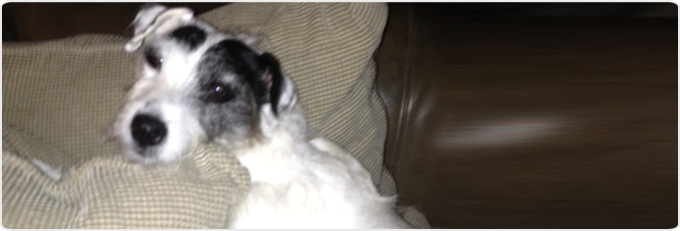 Instument Calibration Banner