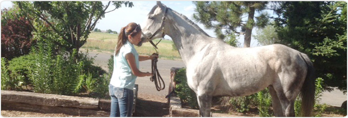 Most Commonly Banner