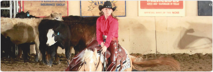 Technical Expanation Banner